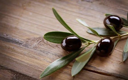 Olives - nice, food, photo, photography