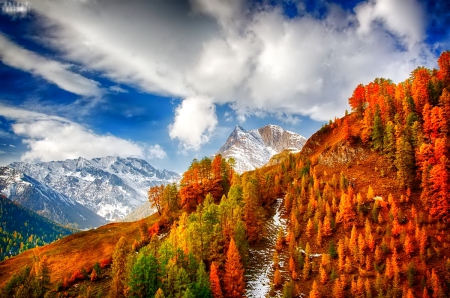 October - nice, autumn, colorful, mirrored, shine, foliage, fall, pretty, reflection, tree, golden, branches, falling, lovely, nature, glow, october, beautiful, leaves, colors