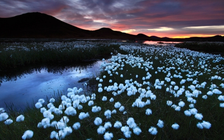 Iceland - Sunset, Nature, Scenary, Country, Night, Lake, Hill, Evening, Iceland, Water, Plant, Landscape, Flower, Sky