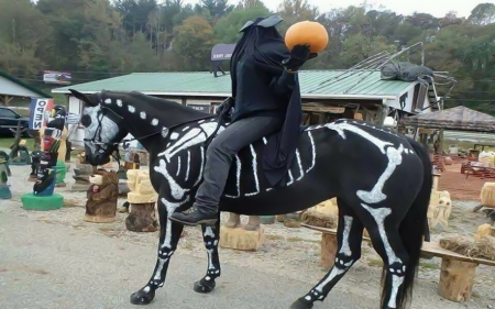 Headless Horsemen - halloween, scary, horse, men, horsemen, headless