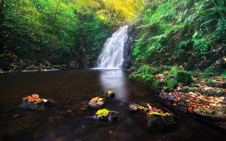 Waterfall in Autumn - nature, autumn, trees, waterfall