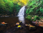 Waterfall in Autumn