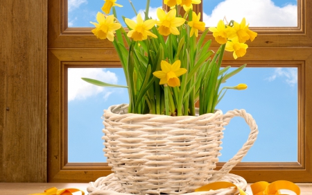 Still life - flowers, basket, yellow, still life