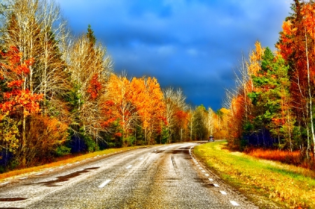 October - nice, autumn, colorful, mirrored, shine, foliage, fall, pretty, reflection, tree, golden, branches, falling, lovely, nature, glow, october, beautiful, leaves, colors