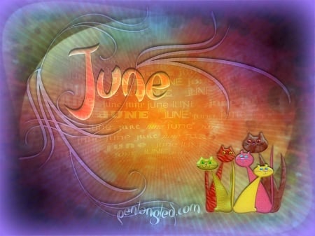 â˜…Vector Cats of Juneâ˜… - vector arts, animals, mixed media, lovely, calendar, creative pre-made, love four seasons, digital art, weird things people wear, cats, softness beauty, colors, sweet, june, cute