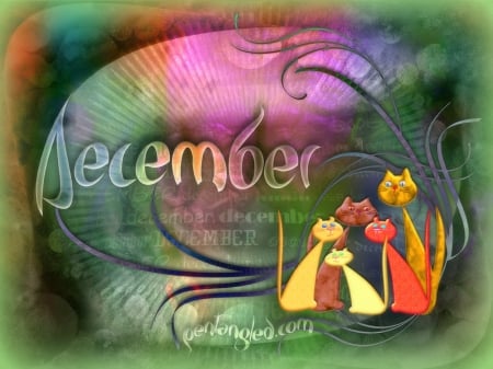 â˜…Vector Cats of Decemberâ˜… - vector arts, animals, mixed media, weird things people, lovely, calendar, creative pre-made, love four seasons, december, digital art, cats, softness beauty, colors, sweet, flowers, cute