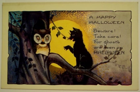 Halloween Message - moon, black cat, autumn, cat, quote, halloween, fall, full moon, message, owl, tree