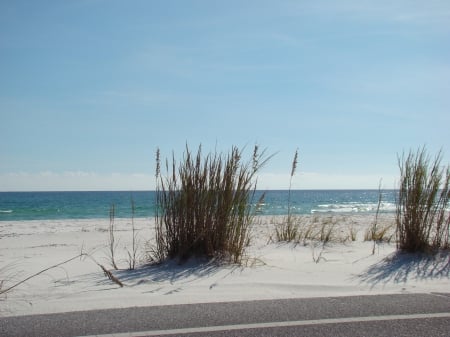 Dunes - white, florida, navarre beach, gulf of mexico