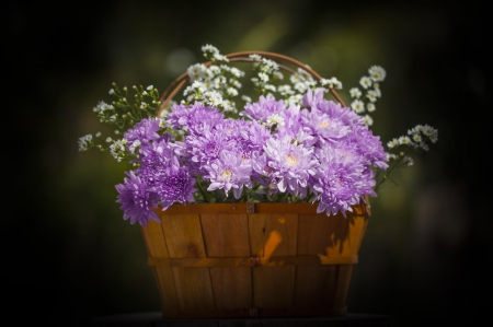 Flowers - flowers, photo, basket, pink