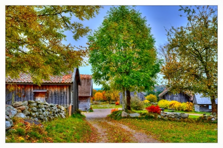 October - pretty, reflection, leaves, golden, nice, falling, branches, beautiful, mirrored, colors, lovely, tree, fall, glow, colorful, nature, autumn, october, foliage, shine