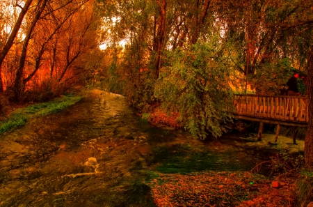 October - pretty, reflection, leaves, golden, nice, falling, branches, beautiful, mirrored, colors, lovely, tree, fall, glow, colorful, nature, autumn, october, foliage, shine