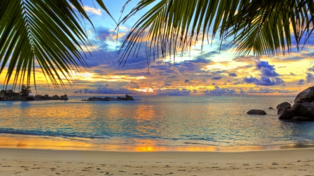 fantastic tropical beach - beach, clouds, palms, sunset, sea