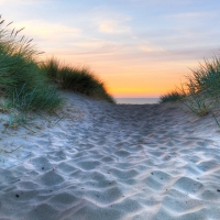 path through sand dunes to the beach hdr