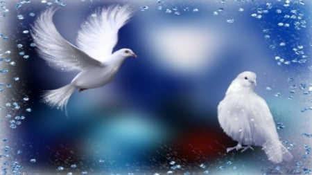 ~*~ The magic Of Love ~*~ - love, couple, doves, romantic