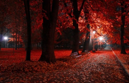 Autumn - trees, nature, leaves, autumn