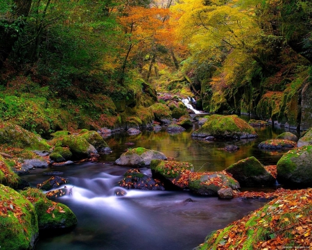 Waterfall in the Autumn Forest (for Beeble) - nature, autumn, forest, waterfall