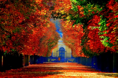 October - nice, autumn, colorful, mirrored, shine, foliage, fall, pretty, reflection, tree, golden, branches, falling, lovely, nature, glow, october, beautiful, leaves, colors