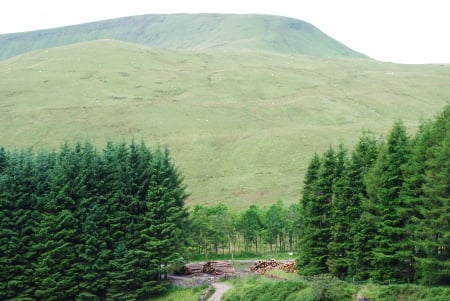 Breacon Beacons pen-y-fan - gods country, landscape, pen-y-fan, wales, mountain, breacon beacons