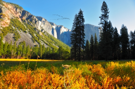 Early autumn - birds, landscape, grass, leaves, mountain, view, cliffs, nice, early, sky, falling, mountainscape, trees, beautiful, colors, lovely, stones, fall, nature, foliage, rocks