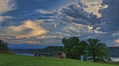 horses grazing by a river - grazing, clouds, river, trees, horses, barn, meadow