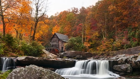 glade creek grist mill in landisburg west virginia - forest, rocks, creek, mill, falls, autumn