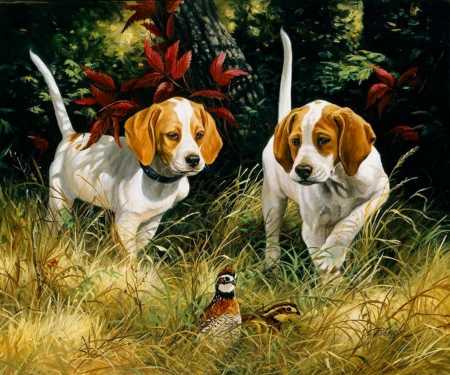 Beginner's luck - bird, trees, beautiful, grass, forest, lovely, beginners, hunt, nature, dogs, painting, field, nice, art, luck