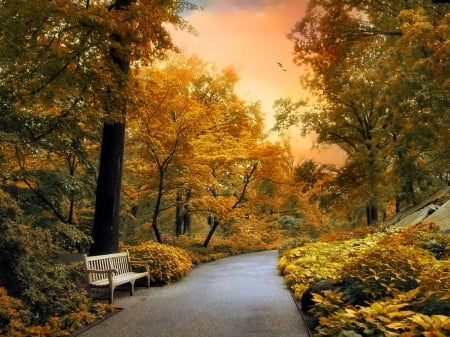 Garden path - nice, sky, autumn, trees, bench, path, foliage, calm, fall, quiet, walk, garden, falling, lovely, serenity, nature, forest, beautiful, alley, rest, leaves