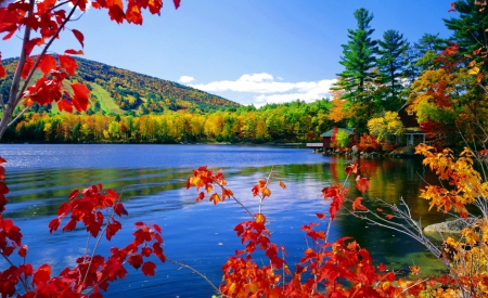 Moose pond in autumn - season, moose, nice, sky, autumn, trees, colorful, fall, pretty, reflection, river, pond, branches, lake, falling, shore, lovely, fallng, nature, forest, beautiful, leaves, colors