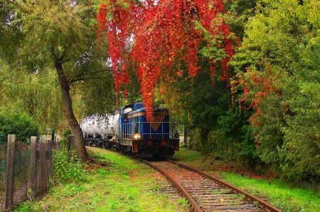 Industrial railways - nice, branches, autumn, fence, trees, industrial, colorful, path, lovely, train, railways, fall, railroad, beautiful, grass