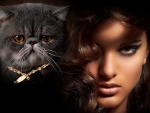 Beauty and Persian Cat