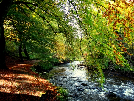 Autumn - trees, water, landscape, forest, fall, river, nature, autumn, autumn splendor, autumn leaves, woods