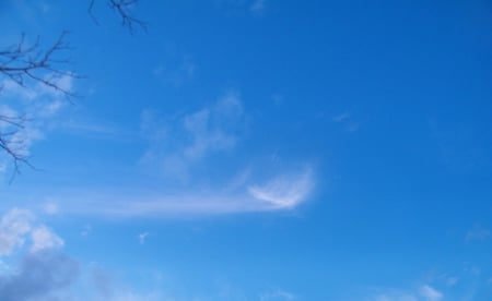 Looking Up... - Forces of Nature, Nature, Sky, Clouds