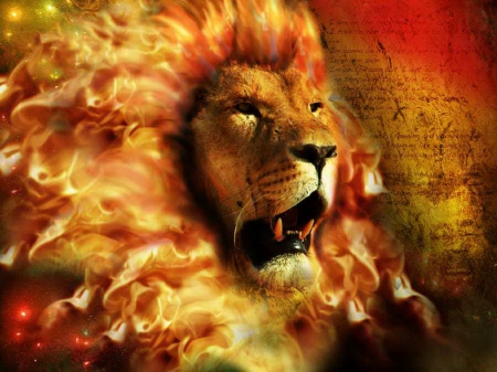 The King of the pride - male, abstract, mane, lion, animals, fire