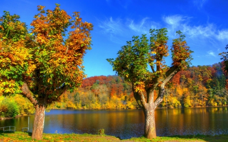 *** Autumn *** - nature, sky, autumn, lake, trees, blue