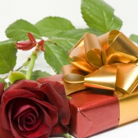 * Rose and gift *