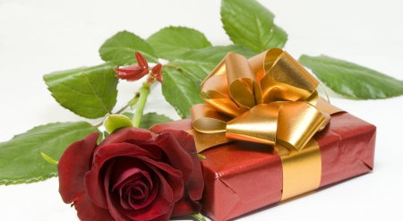 * Rose and gift * - flower, ribbon, box, rose, gift, red rose