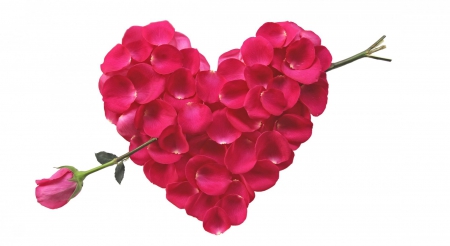 * Heart of petals * - love, petalsd, heart, rose, flower