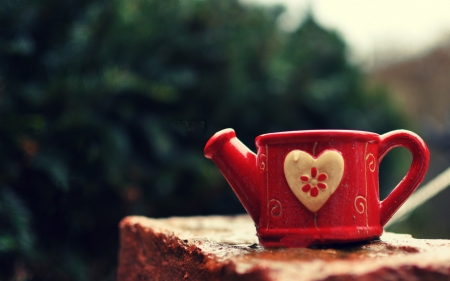 Watering Can - red, garden, heart, watering can, mug, cup