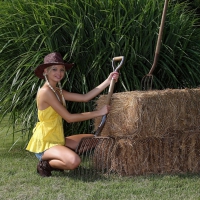 Cowgirl At Work