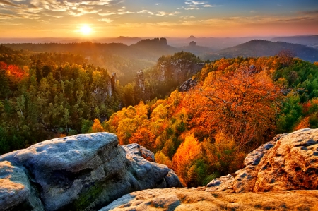 October - pretty, reflection, leaves, golden, nice, falling, branches, beautiful, mirrored, colors, lovely, tree, fall, glow, colorful, nature, autumn, october, foliage, shine