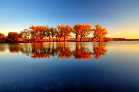 October - nice, autumn, colorful, mirrored, shine, foliage, fall, pretty, reflection, tree, golden, branches, falling, lovely, nature, glow, october, beautiful, leaves, colors