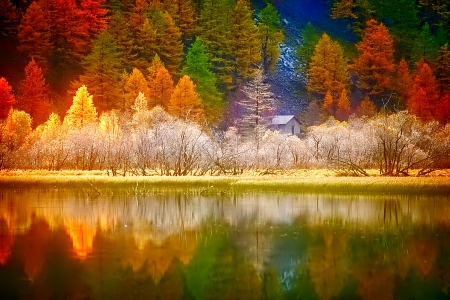 October - nice, autumn, colorful, mirrored, shine, foliage, fall, pretty, reflection, tree, golden, branches, falling, lovely, nature, glow, october, beautiful, leaves, colors