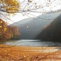 Autumn in the Mountain (near Miskolc)