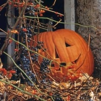 Autumn In The Country