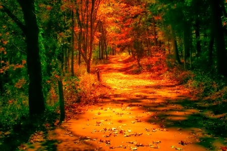 October - pretty, reflection, leaves, golden, nice, falling, branches, beautiful, mirrored, colors, lovely, tree, fall, glow, colorful, nature, autumn, october, foliage, shine