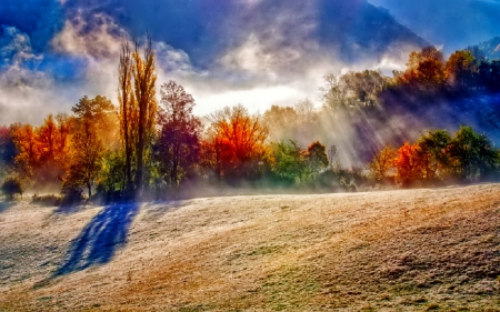 October - pretty, reflection, leaves, golden, nice, falling, branches, beautiful, mirrored, colors, lovely, tree, fall, glow, colorful, nature, autumn, october, foliage, shine