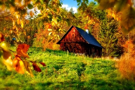 October - nice, autumn, colorful, mirrored, shine, foliage, fall, pretty, reflection, tree, golden, branches, falling, lovely, nature, glow, october, beautiful, leaves, colors