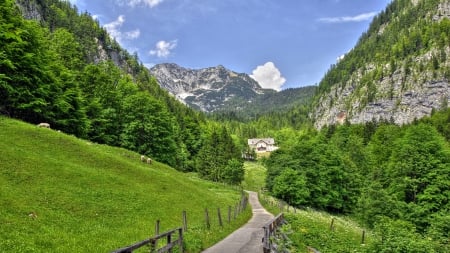 gorgeous bucolic valley outside salzburg austria - sheep, valley, trail, house, mountains, grass