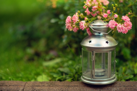 Simply Beautiful - pink roses, roses, rose, nature, lantern, green, splendor, flowers, lamp, grass