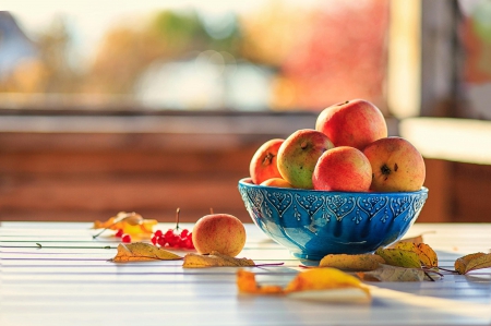 Apple - blue, red, still life, apple, photo